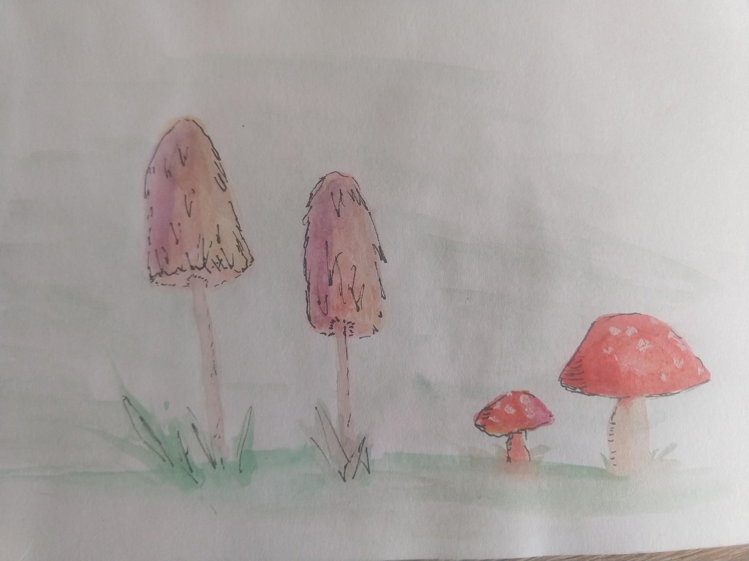 Mushrooms - image 3 - student project