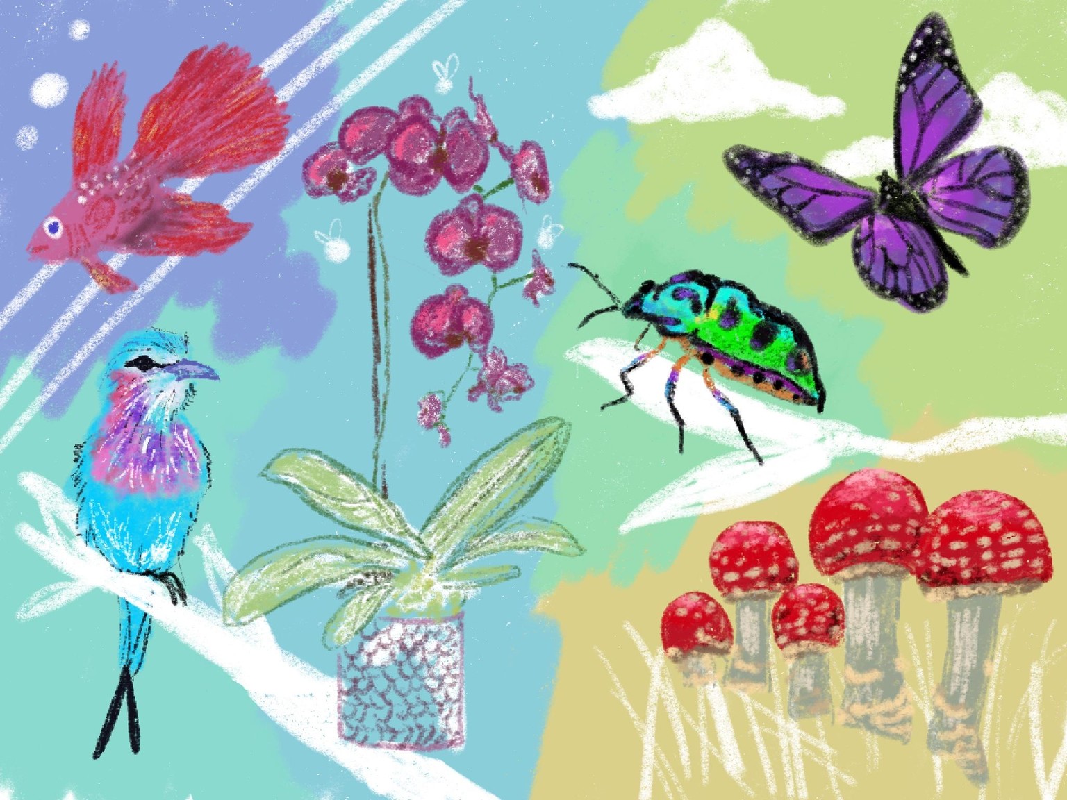 Bug Drawing - image 6 - student project