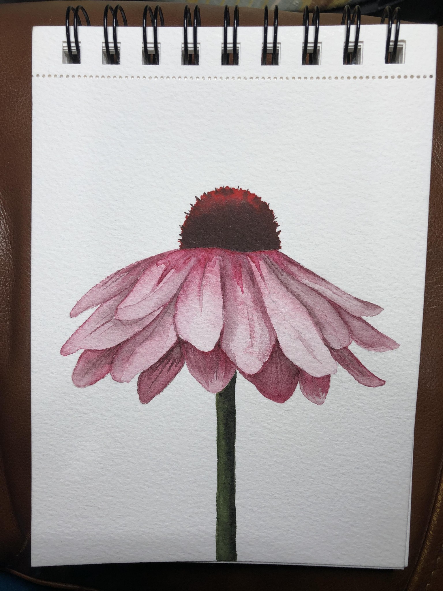 Pink daisy - image 1 - student project
