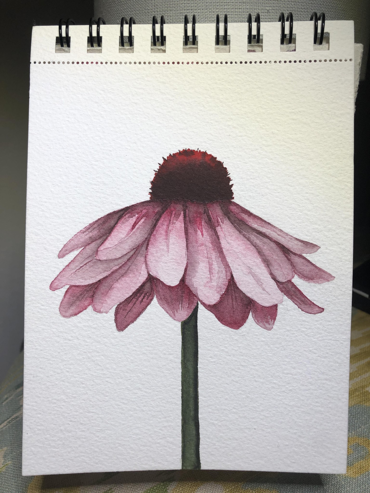 Pink daisy - image 2 - student project