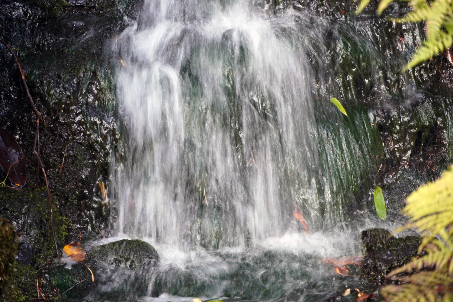 Shutter Speed: Fast and Slow - image 1 - student project