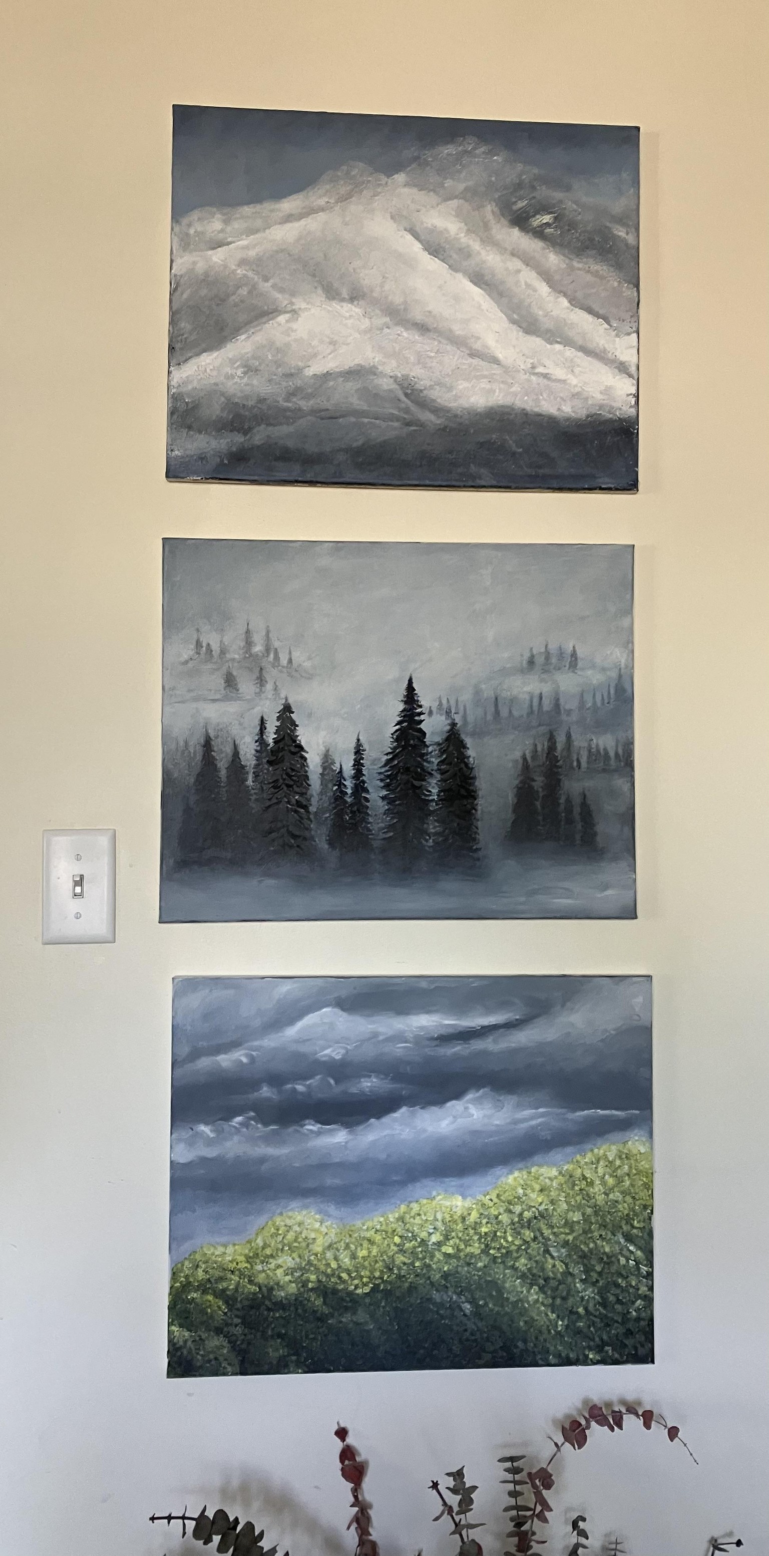 Cloudy Weather In Triplicate - image 1 - student project