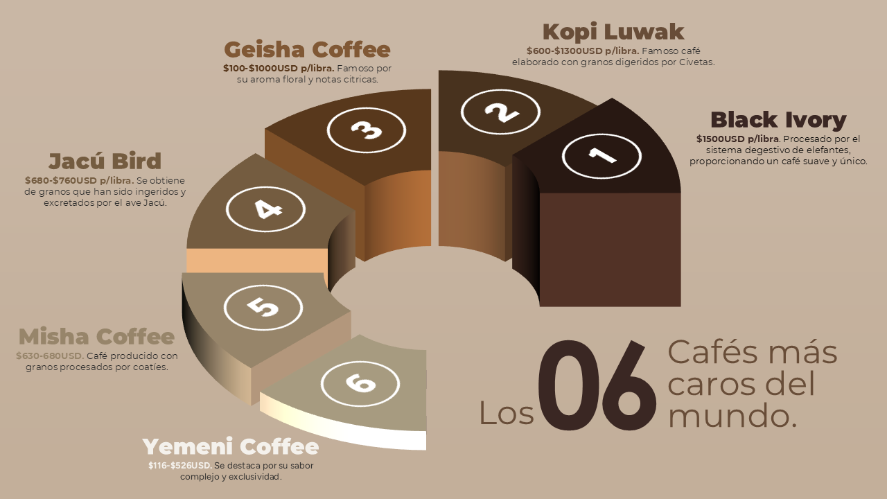 Barista Coffee - image 1 - student project