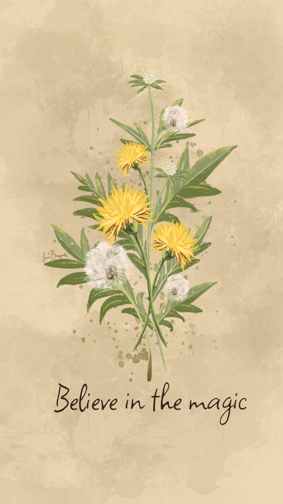 Dandelions - image 1 - student project