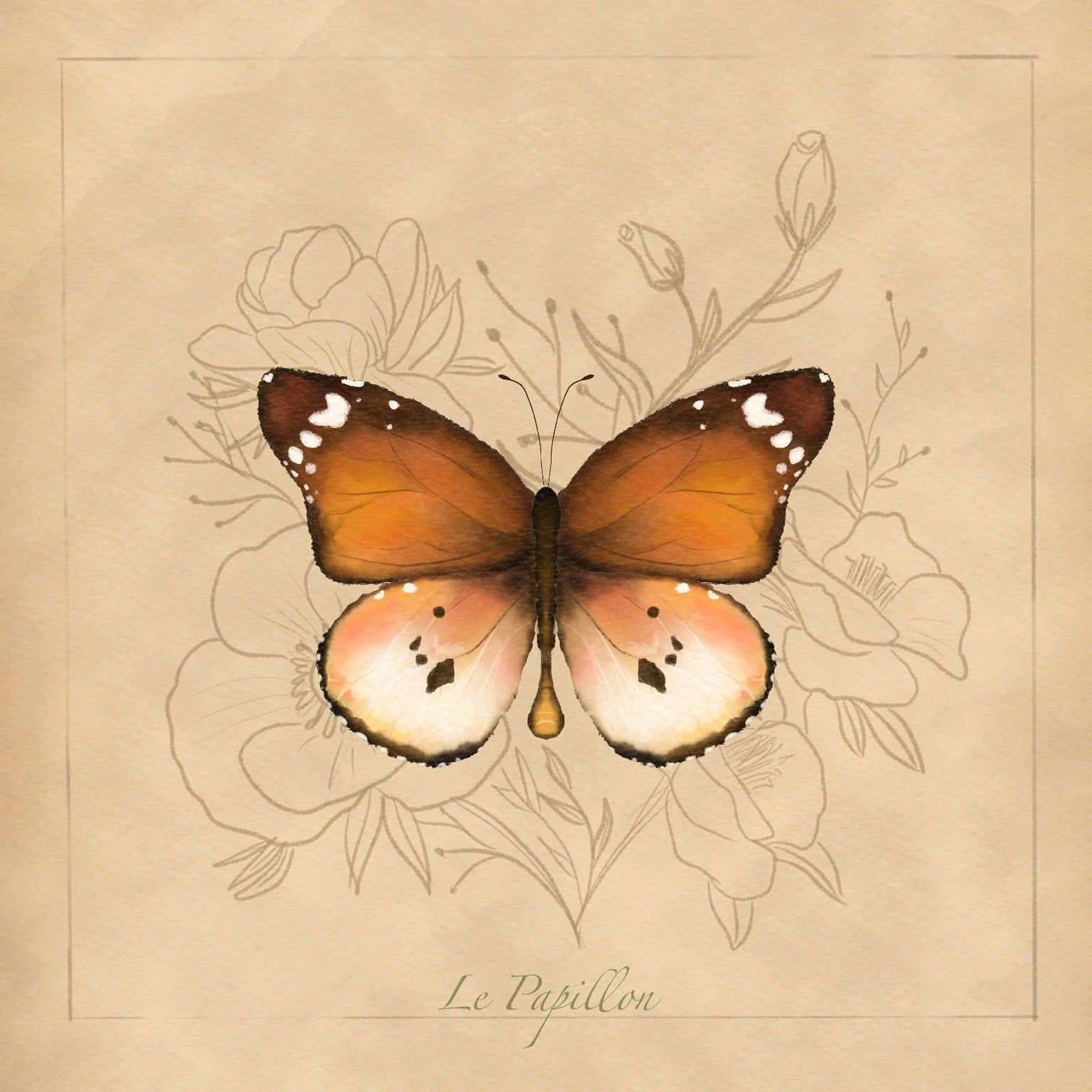 Le Papilon - image 1 - student project