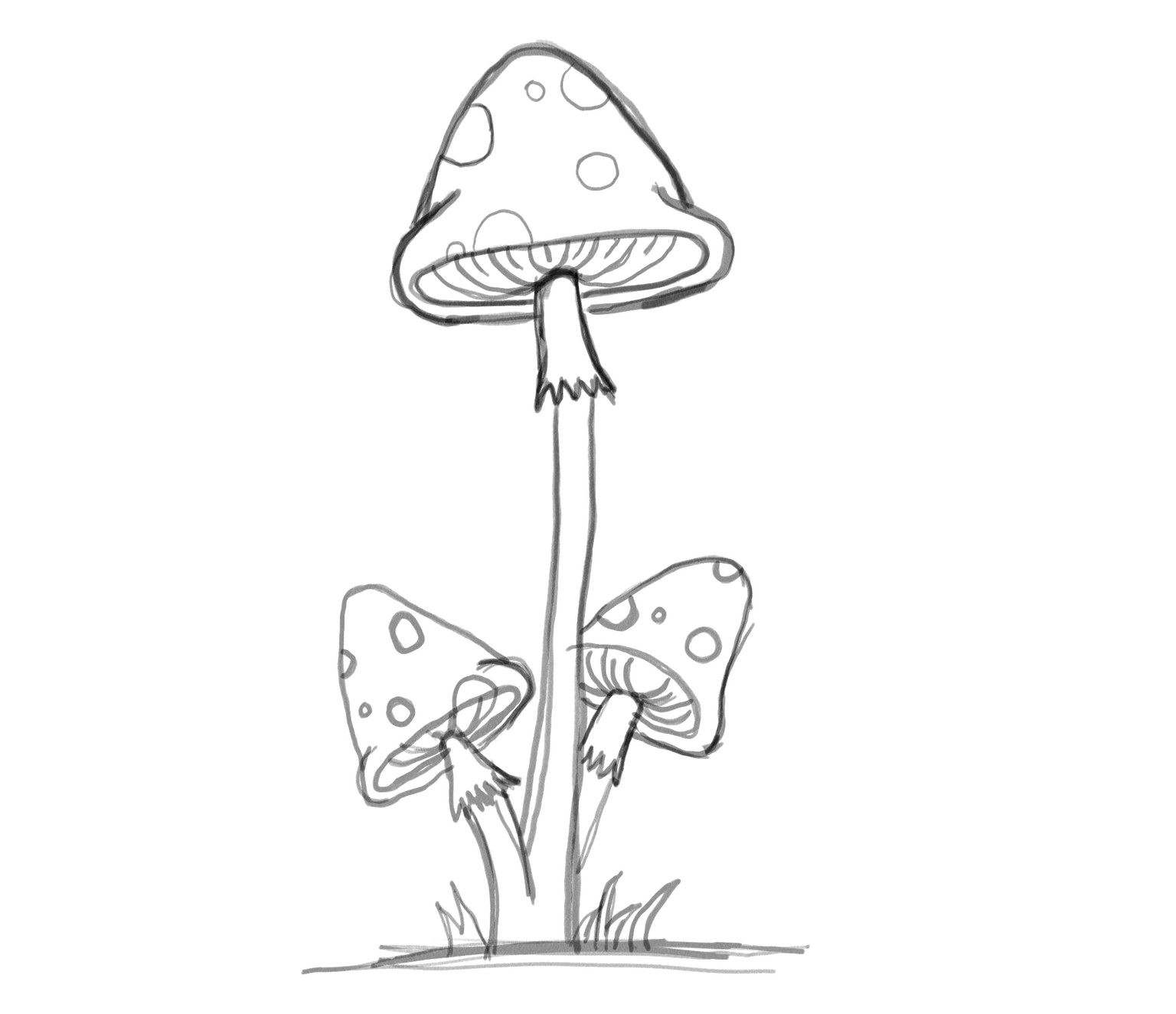 Mushrooms - image 2 - student project