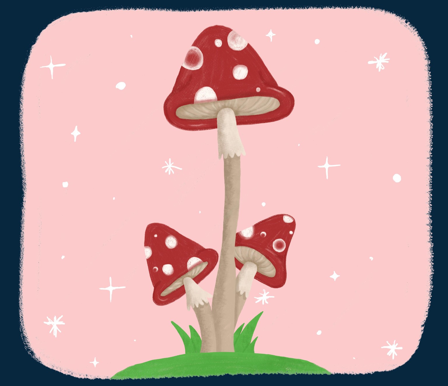 Mushrooms - image 1 - student project