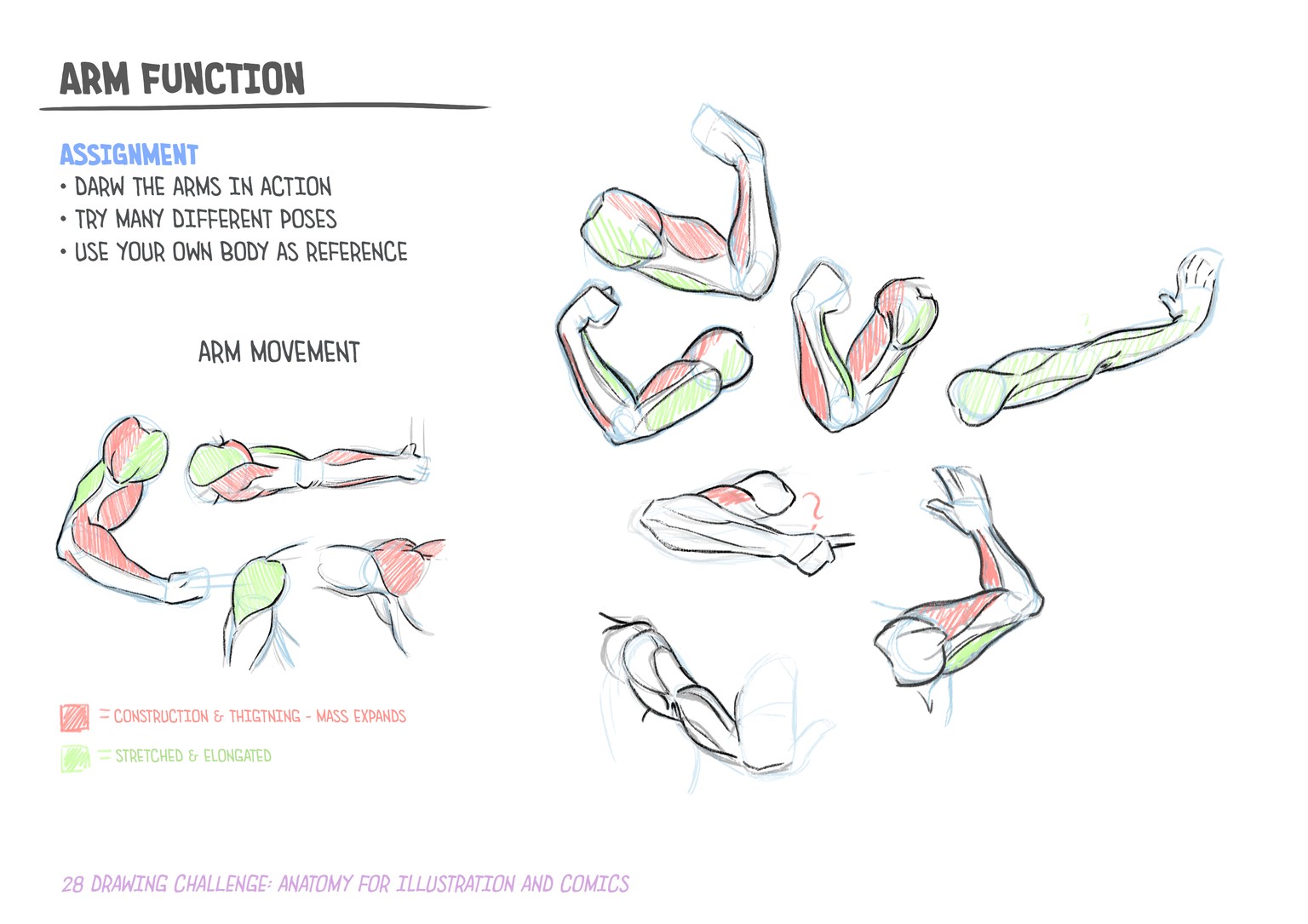 28-Day Drawing Challenge: Anatomy for Illustration and Comics - image 1 - student project