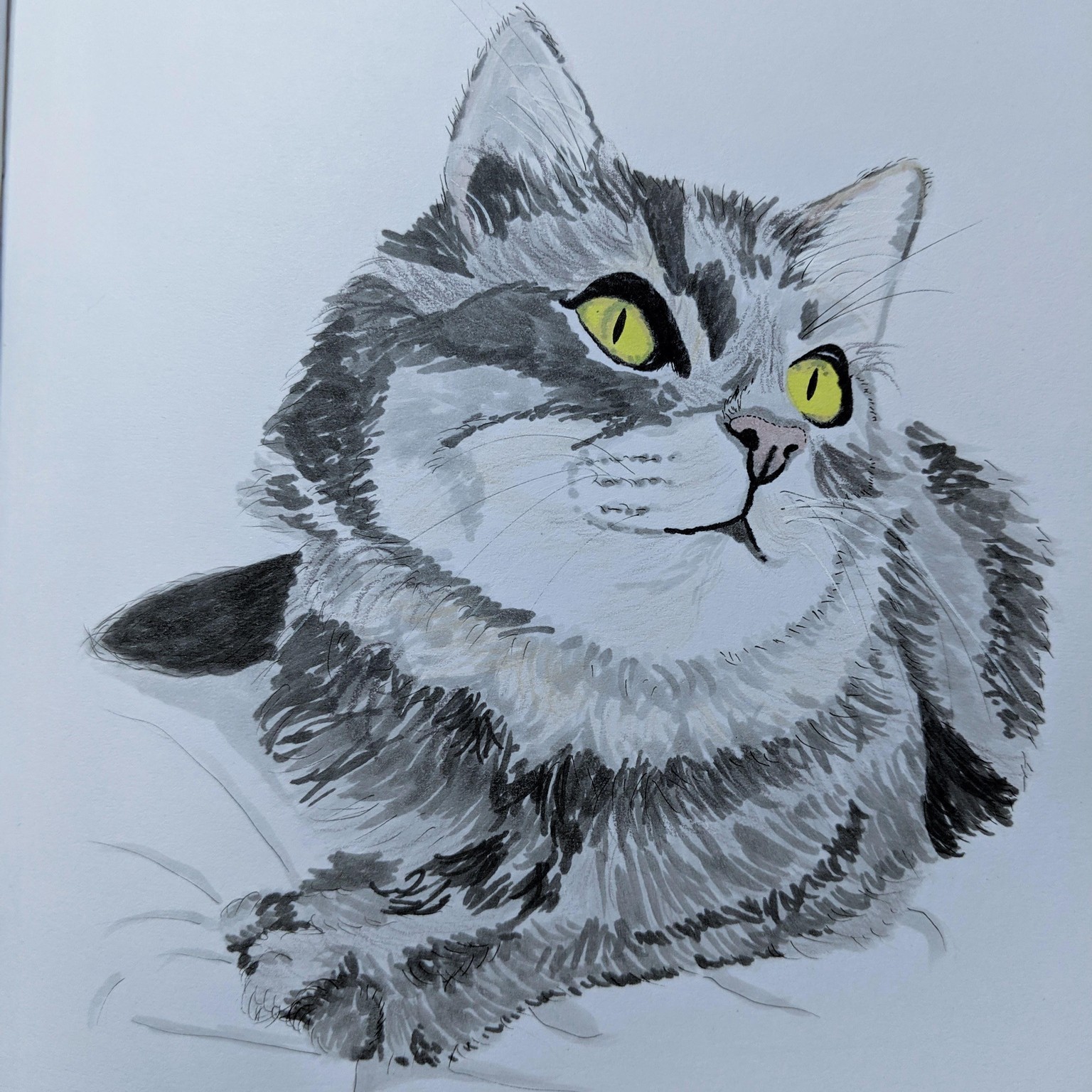 Copic Kitty - image 1 - student project