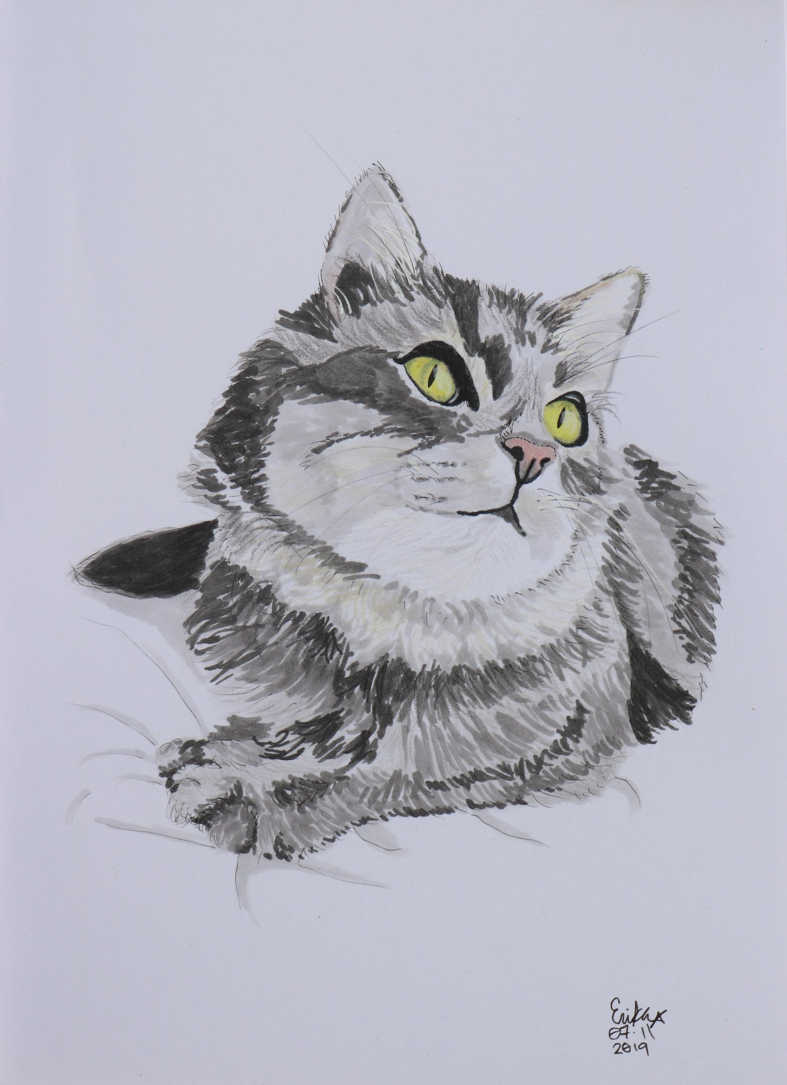 Copic Kitty - image 2 - student project
