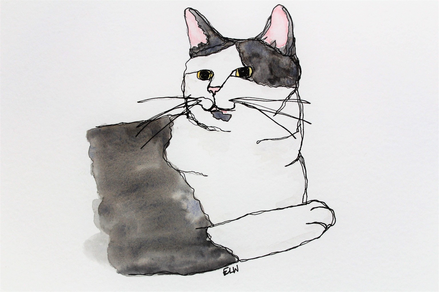 Continuous Line Cat - With Watercolour Additions! - image 1 - student project