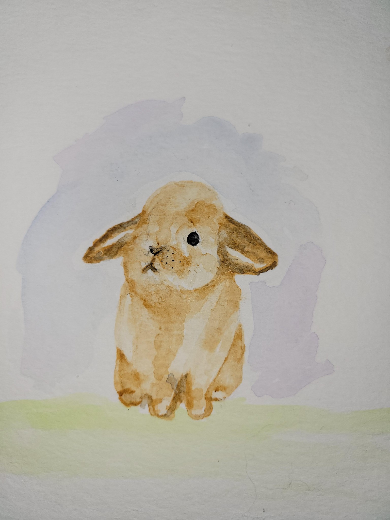 Bunny - image 1 - student project
