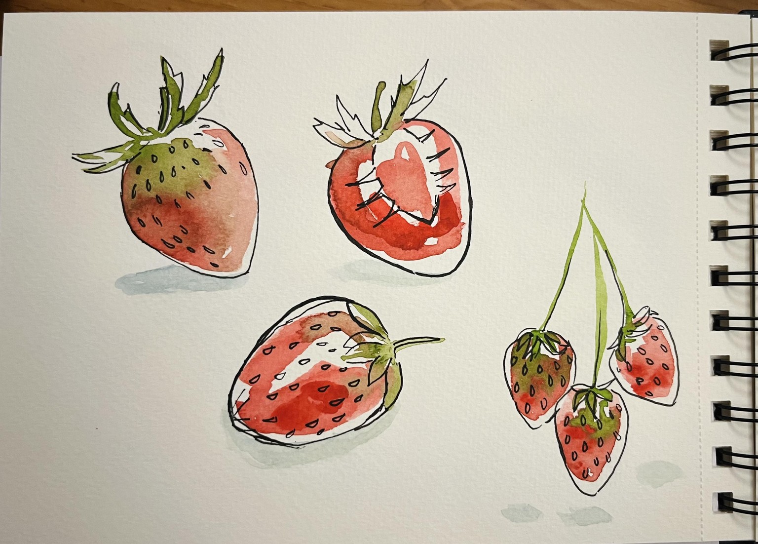 Four Fruits - image 3 - student project