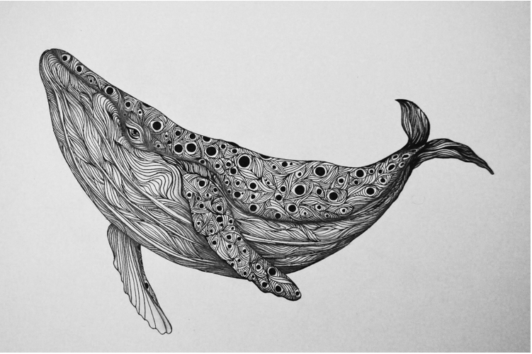 Whale ballpoint pen drawing - image 1 - student project