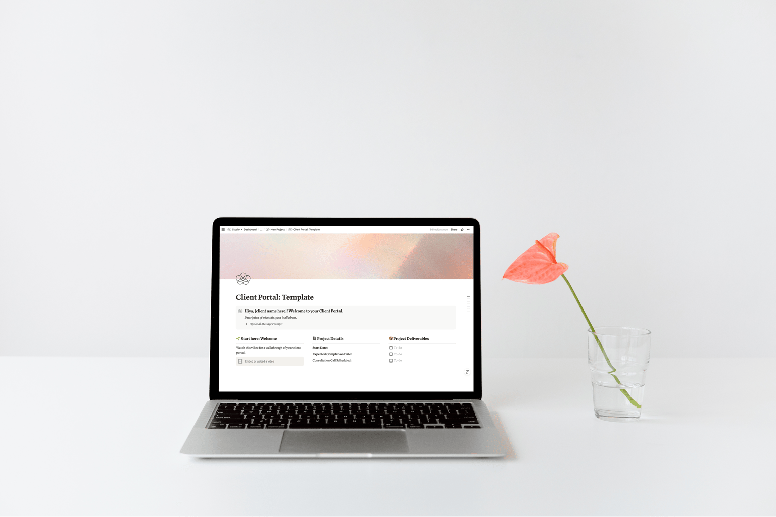 Client HQ and Templates — in Notion - image 1 - student project