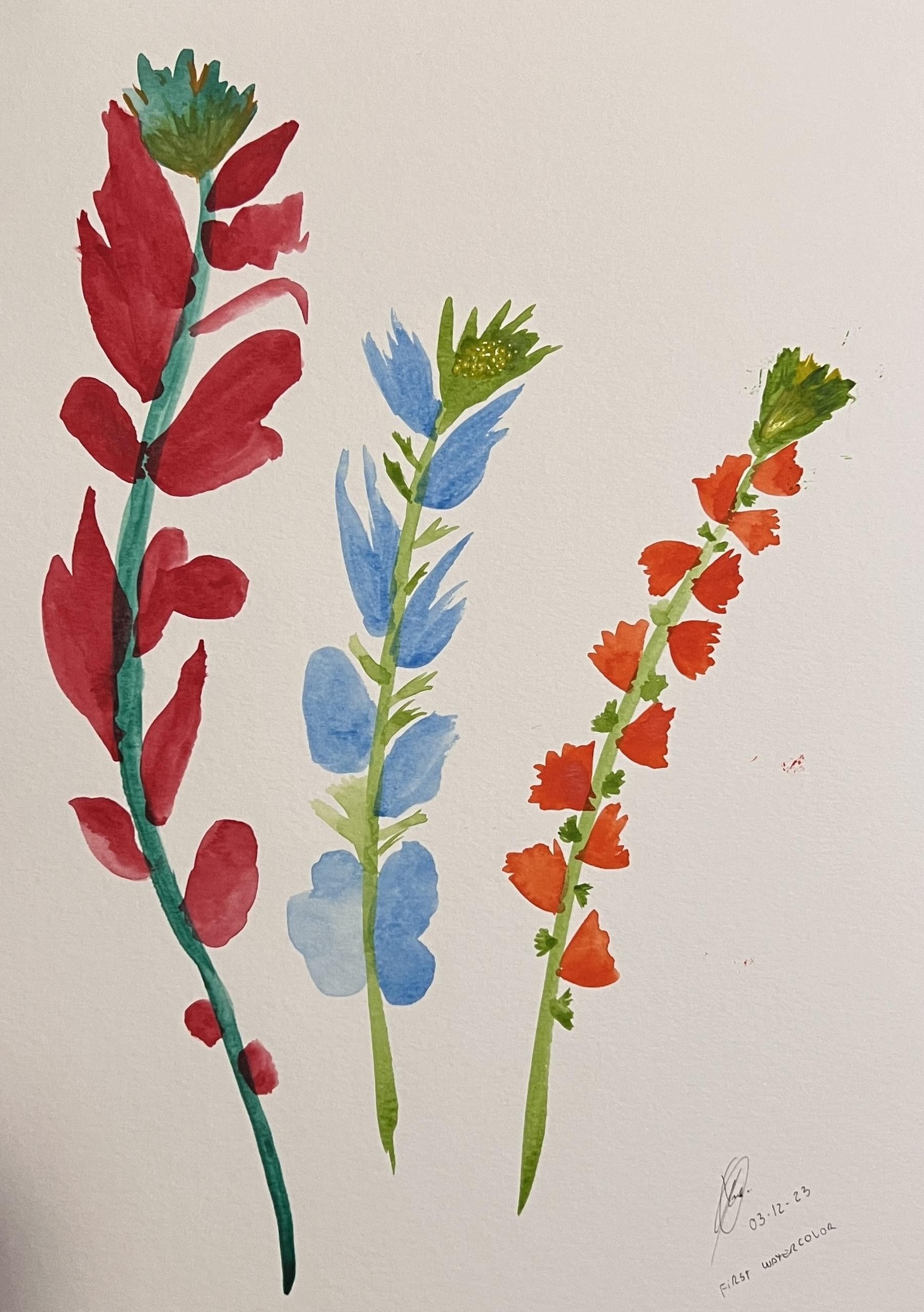 First watercolor - image 1 - student project