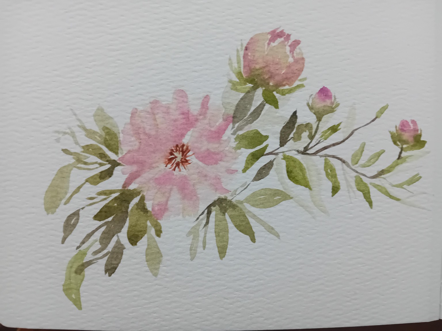 Roses - image 1 - student project