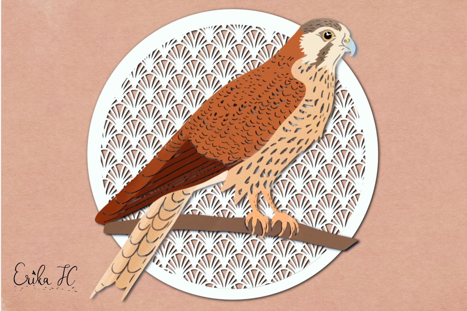 Kestrel - image 1 - student project