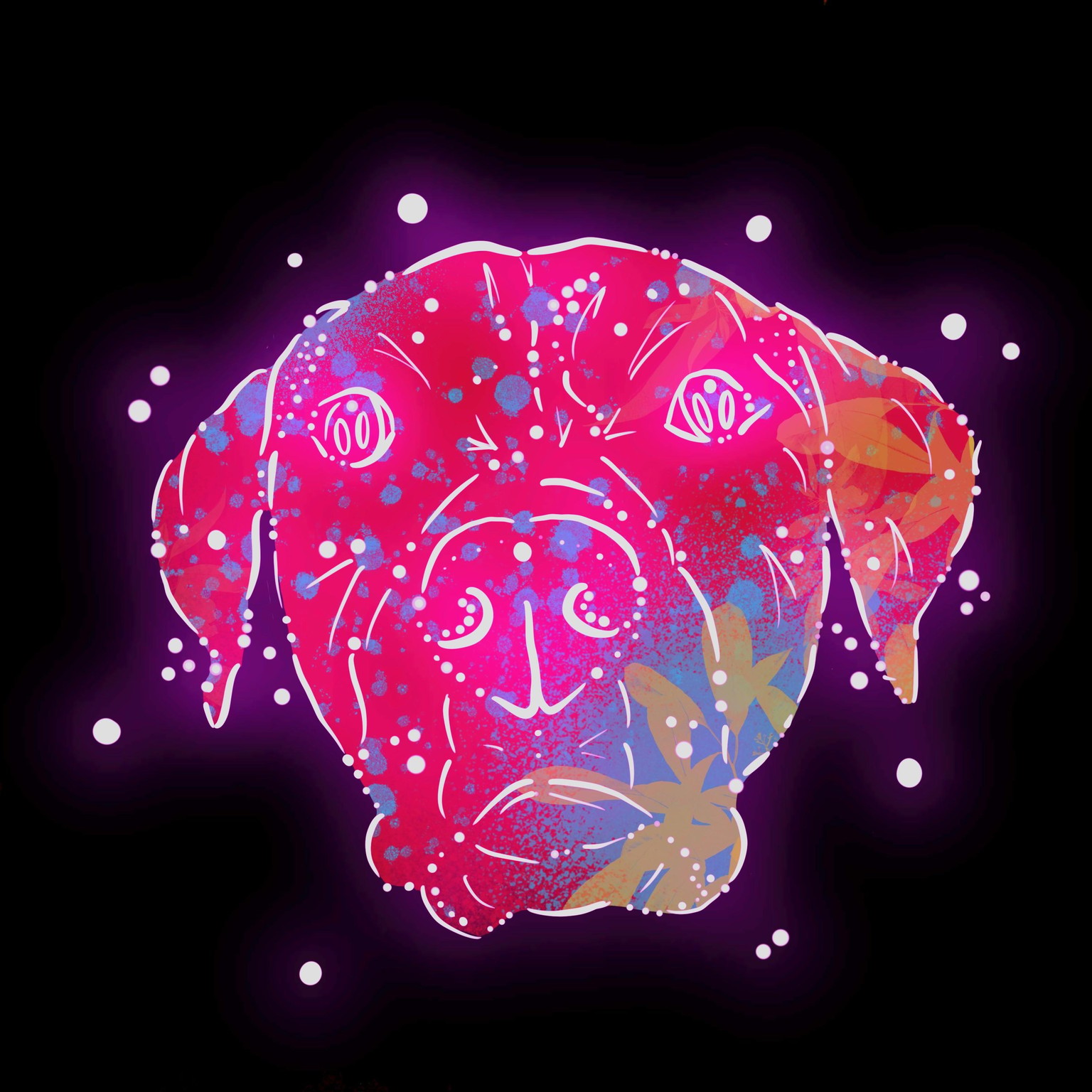 My Mate Django! - image 4 - student project