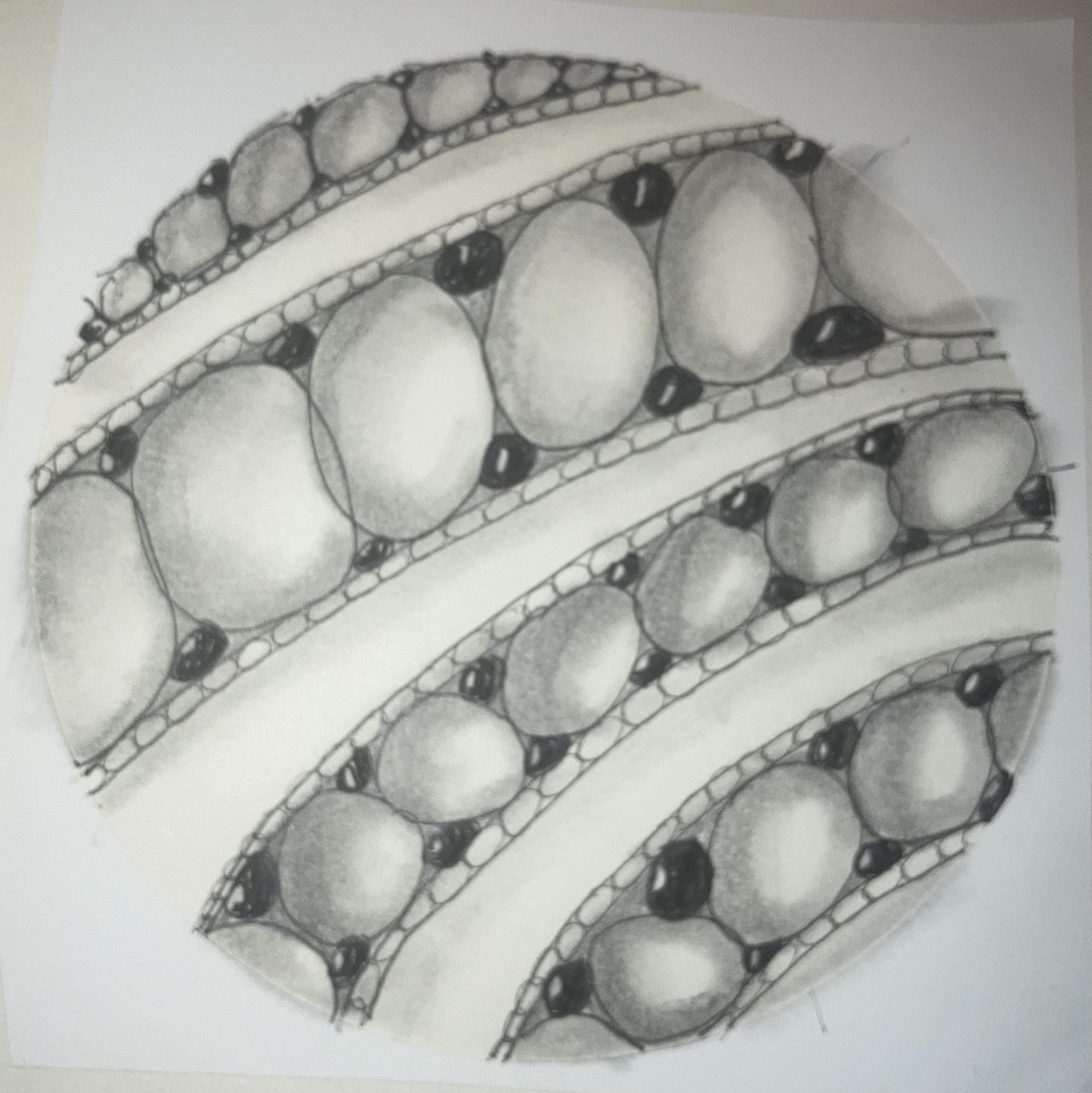 Zen Tangles as backgrounds and part of the artwork - image 15 - student project
