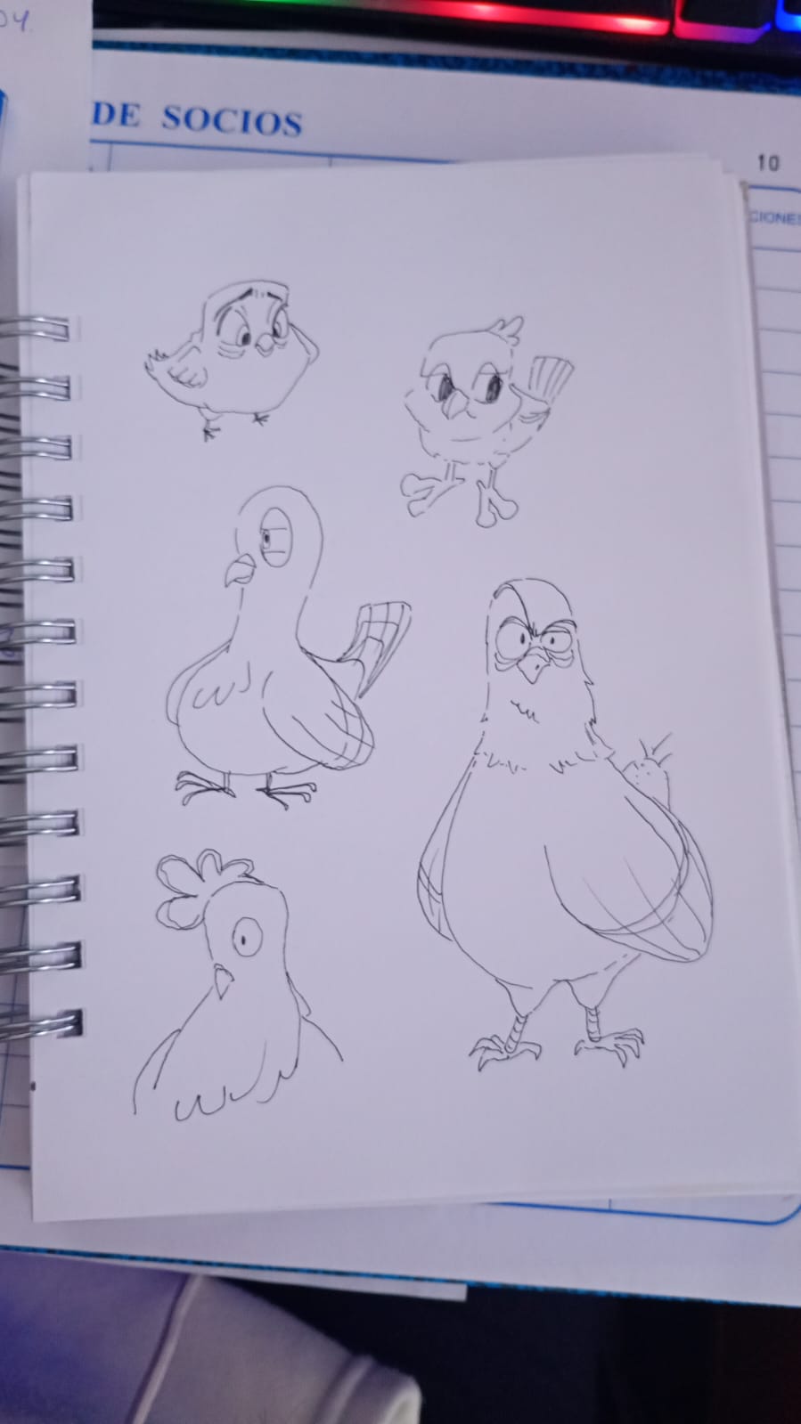 dibujo de aves - image 1 - student project