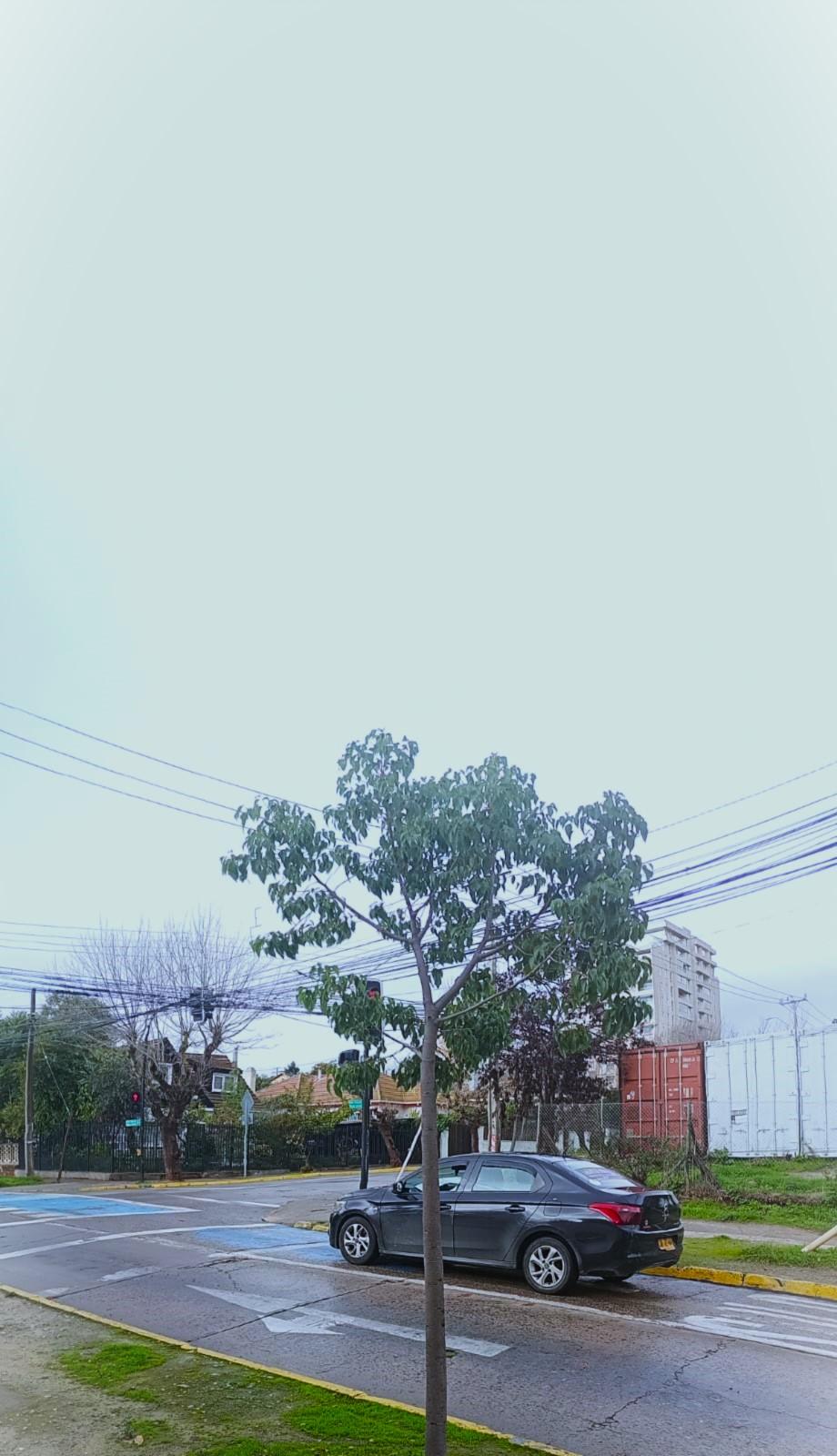 fotos calles de quilpue - image 1 - student project