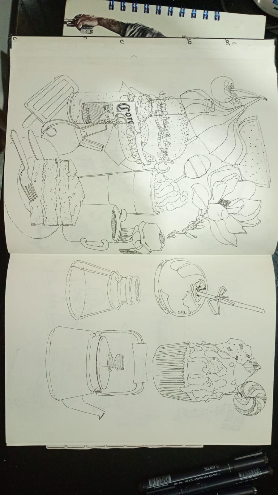 diario ilustrado - image 1 - student project