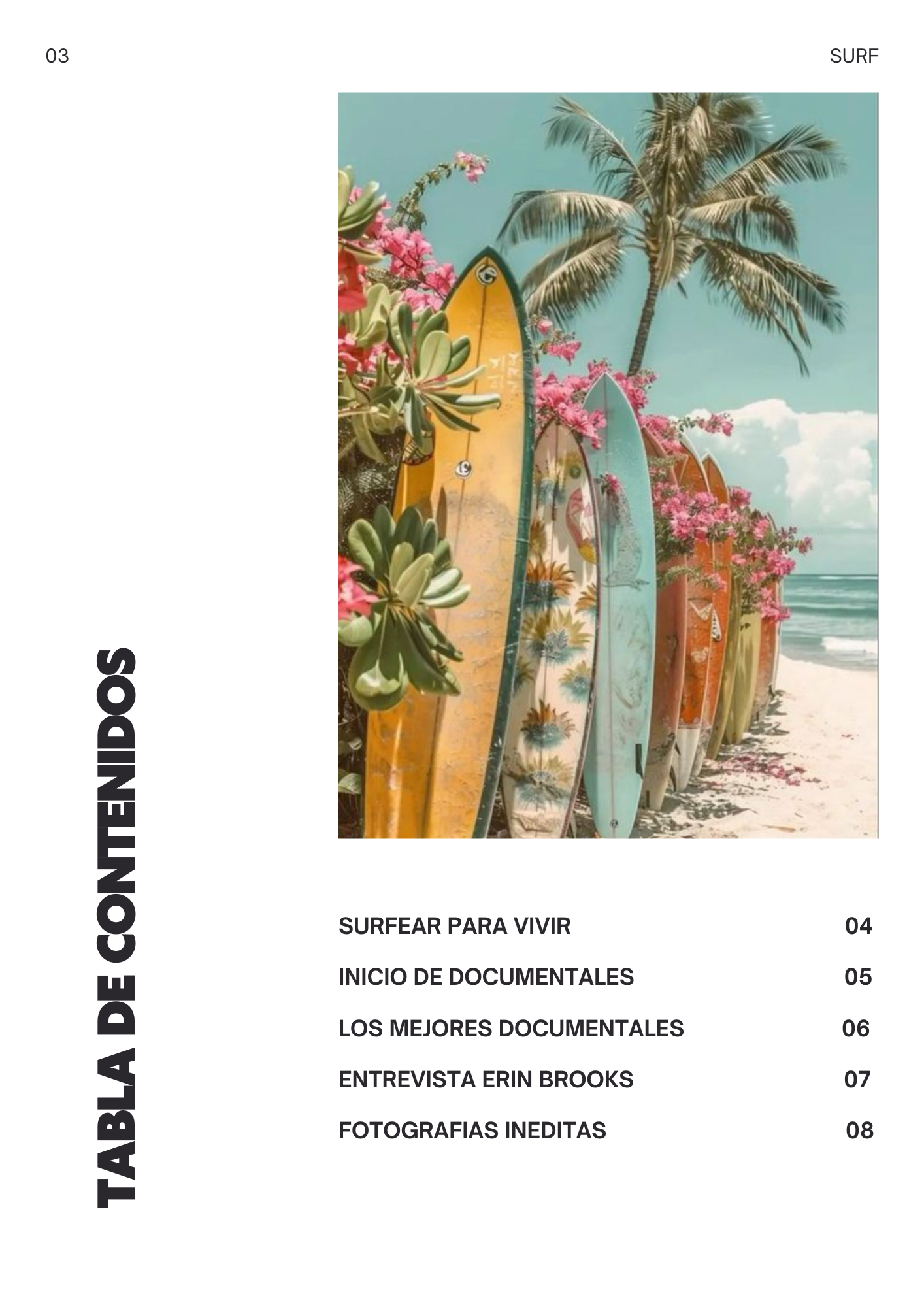 revista de surf - image 2 - student project