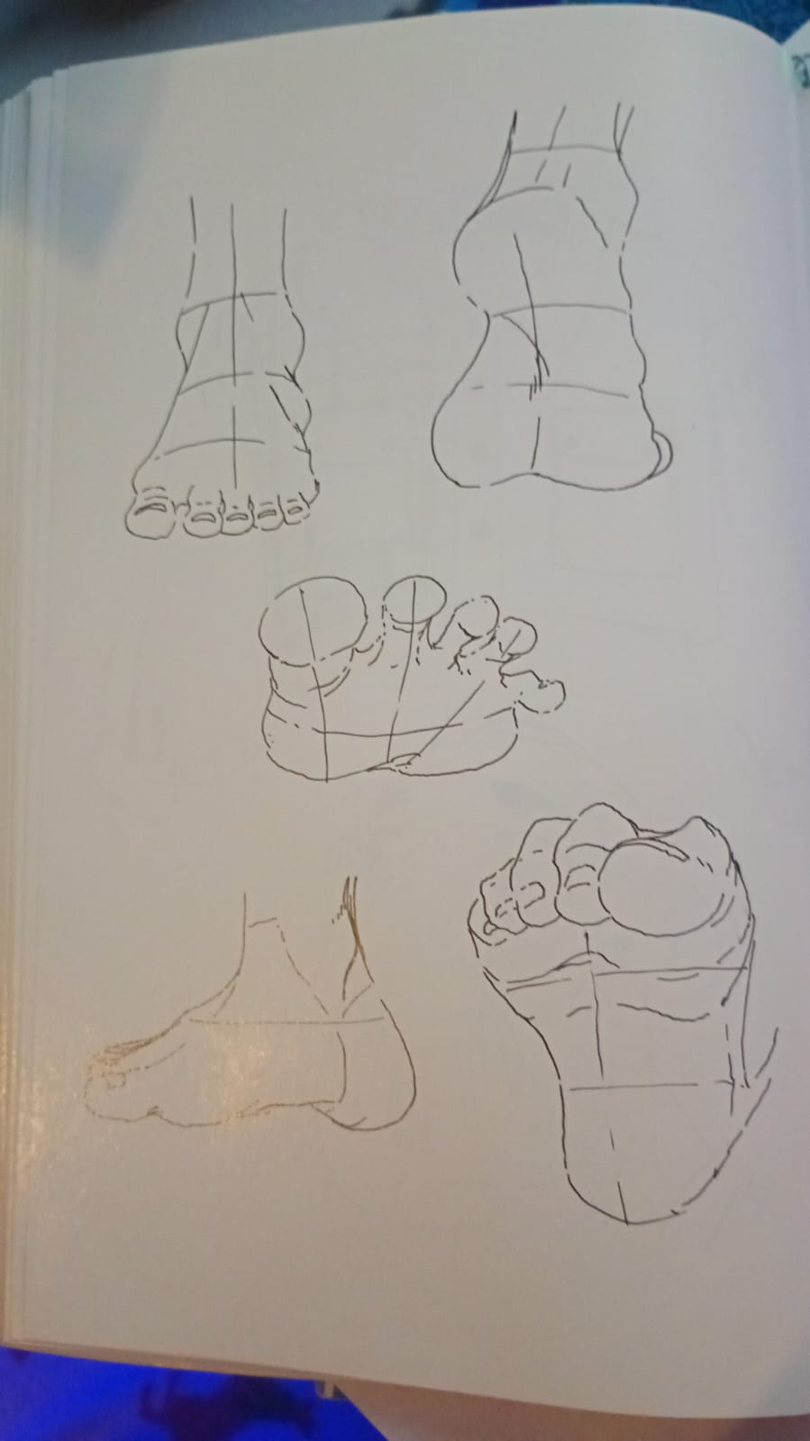 pies - image 1 - student project