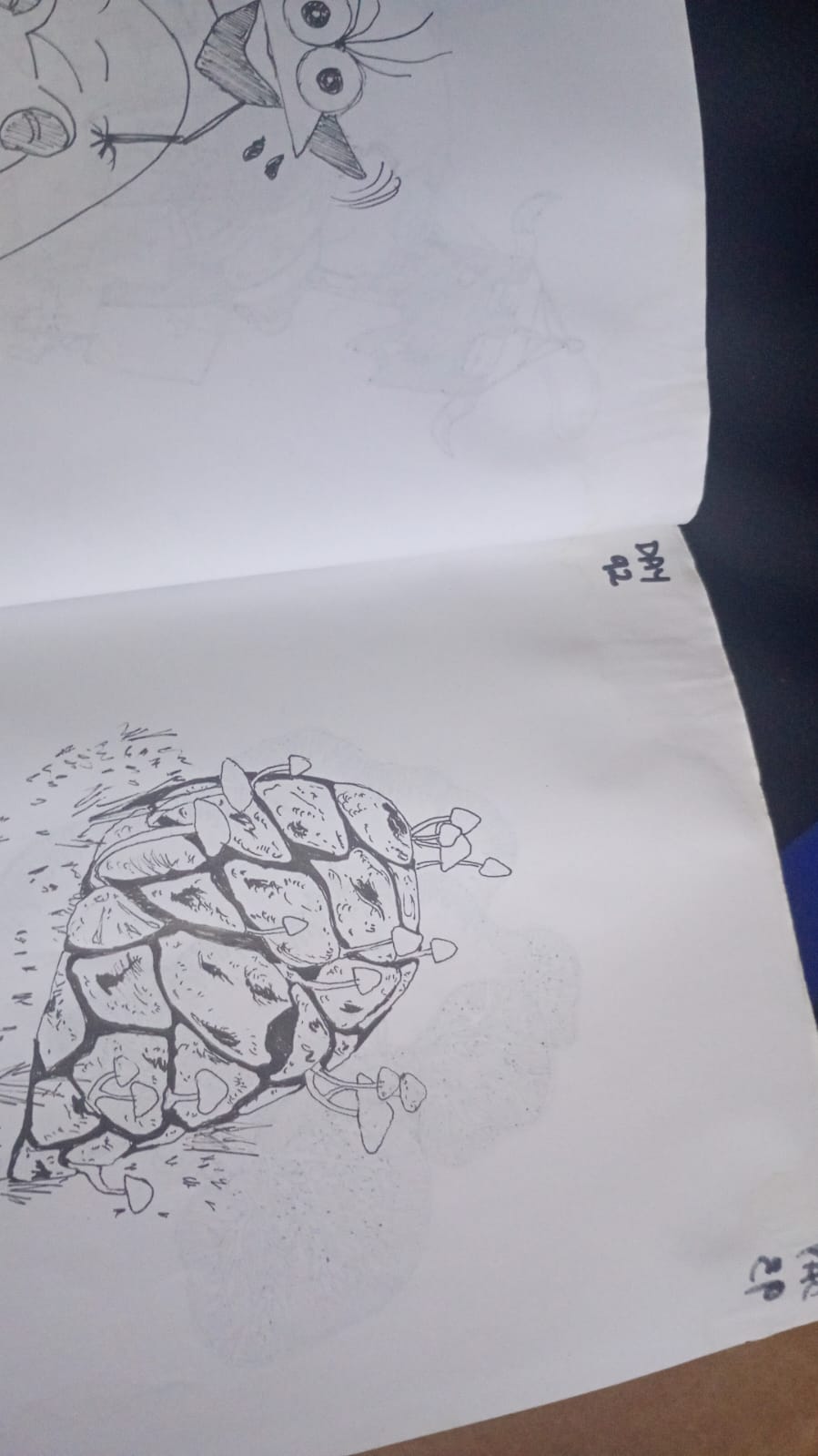 mi rutina diaria de dibujo - image 2 - student project