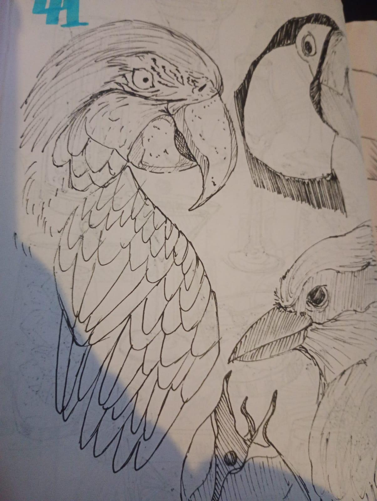 dibujo loro realista - image 1 - student project