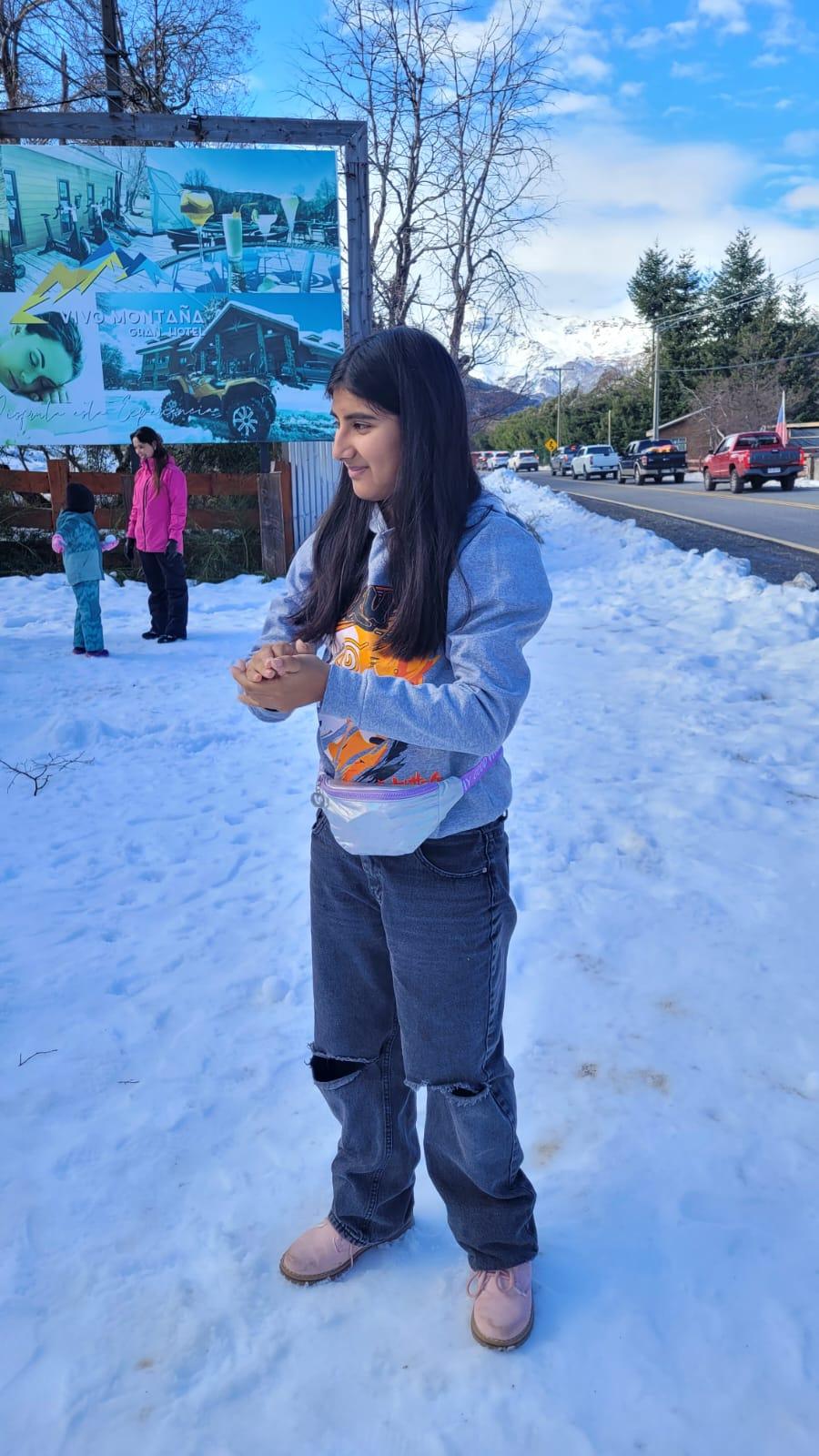 nieve - image 1 - student project