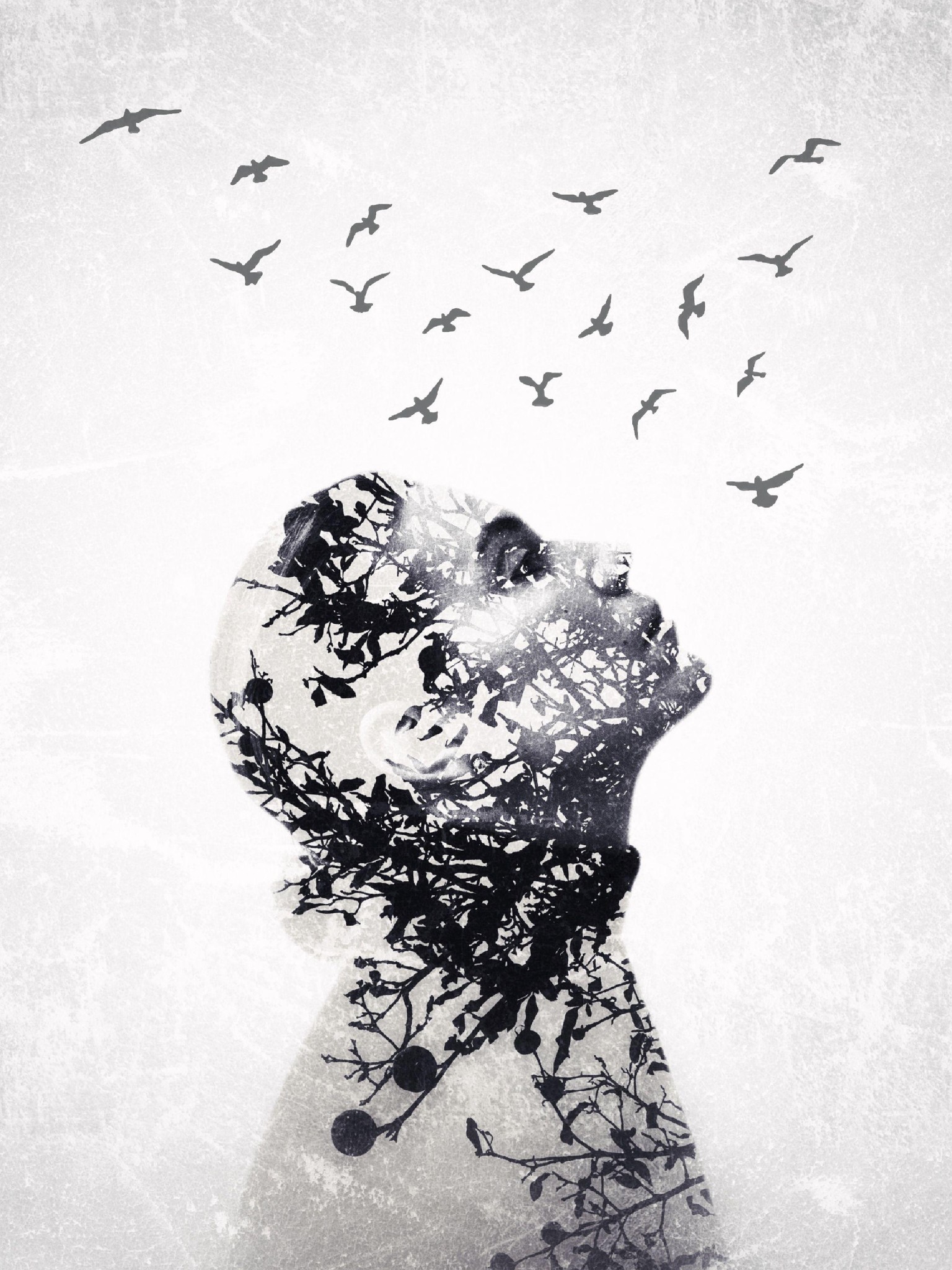 Composite Portrait Examples :) - image 7 - student project