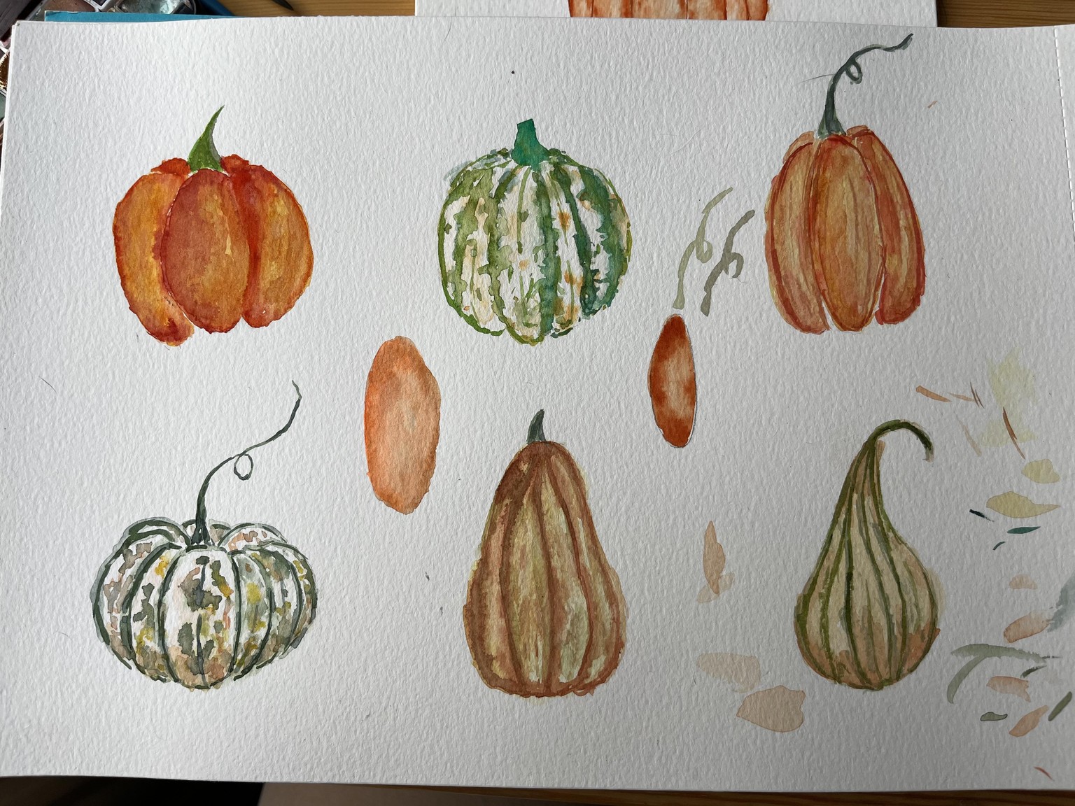 Citrouilles - image 2 - student project