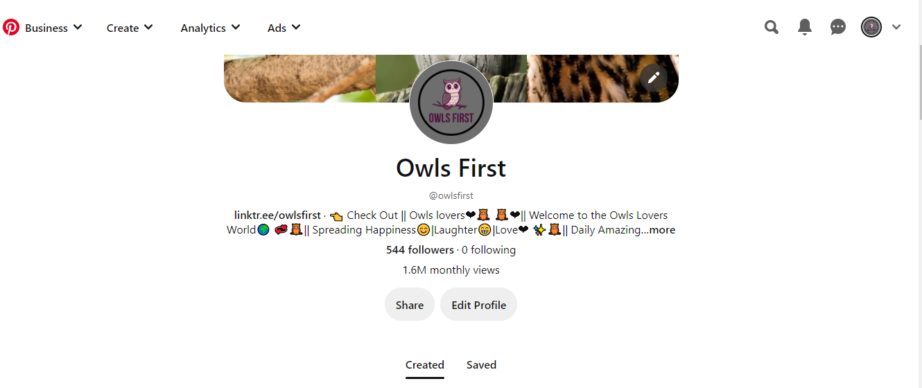 Owls First - image 1 - student project