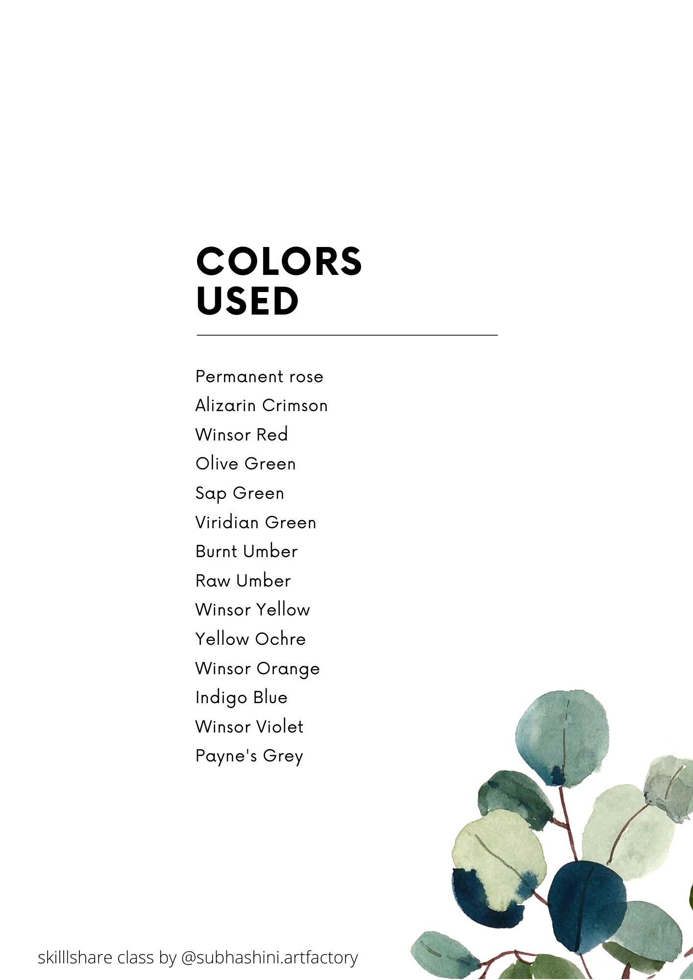 Winter Watercolor Botanicals - Class project! - image 2 - student project