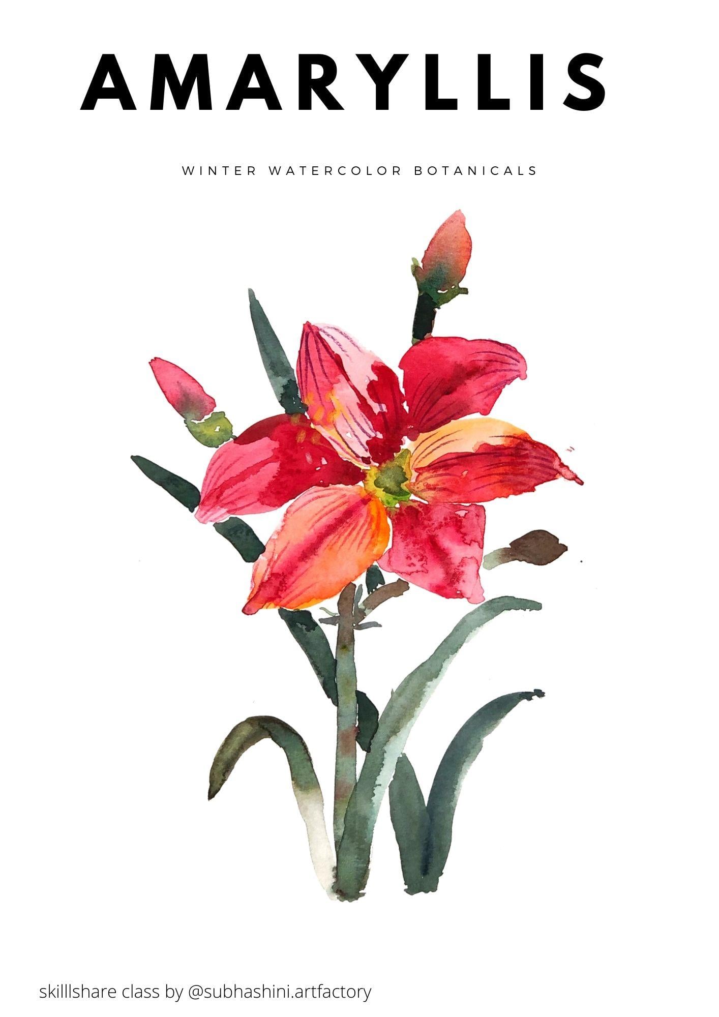 Winter Watercolor Botanicals - Class project! - image 5 - student project