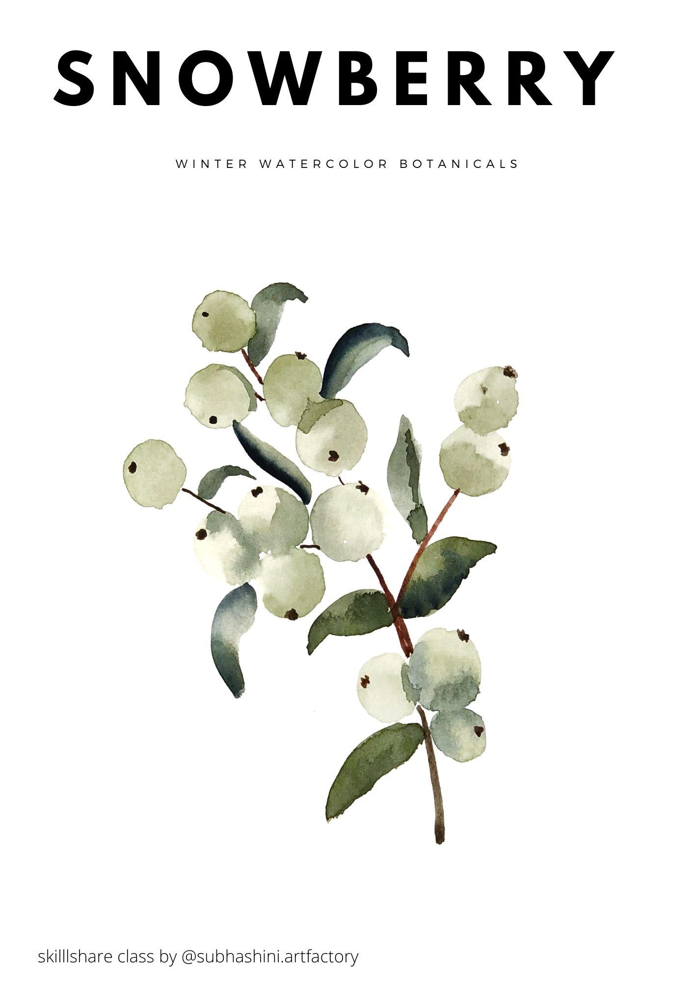 Winter Watercolor Botanicals - Class project! - image 7 - student project