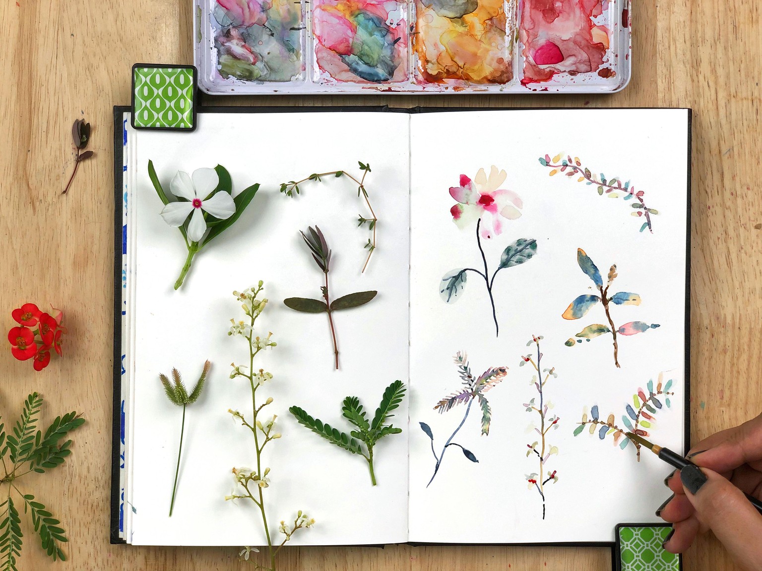 New Class - Stylizing your Watercolors: Fun with Foraged Botanicals - image 1 - student project