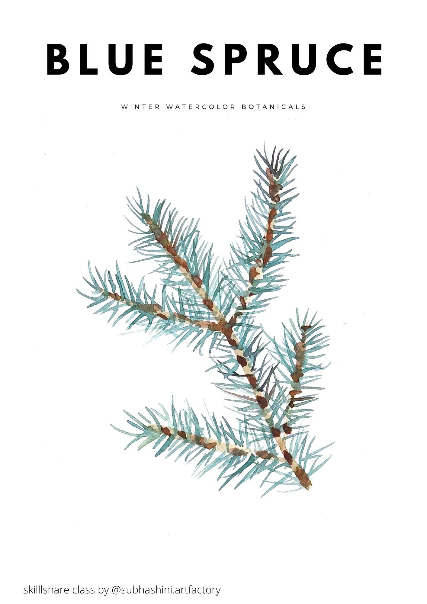 Winter Watercolor Botanicals - Class project! - image 12 - student project