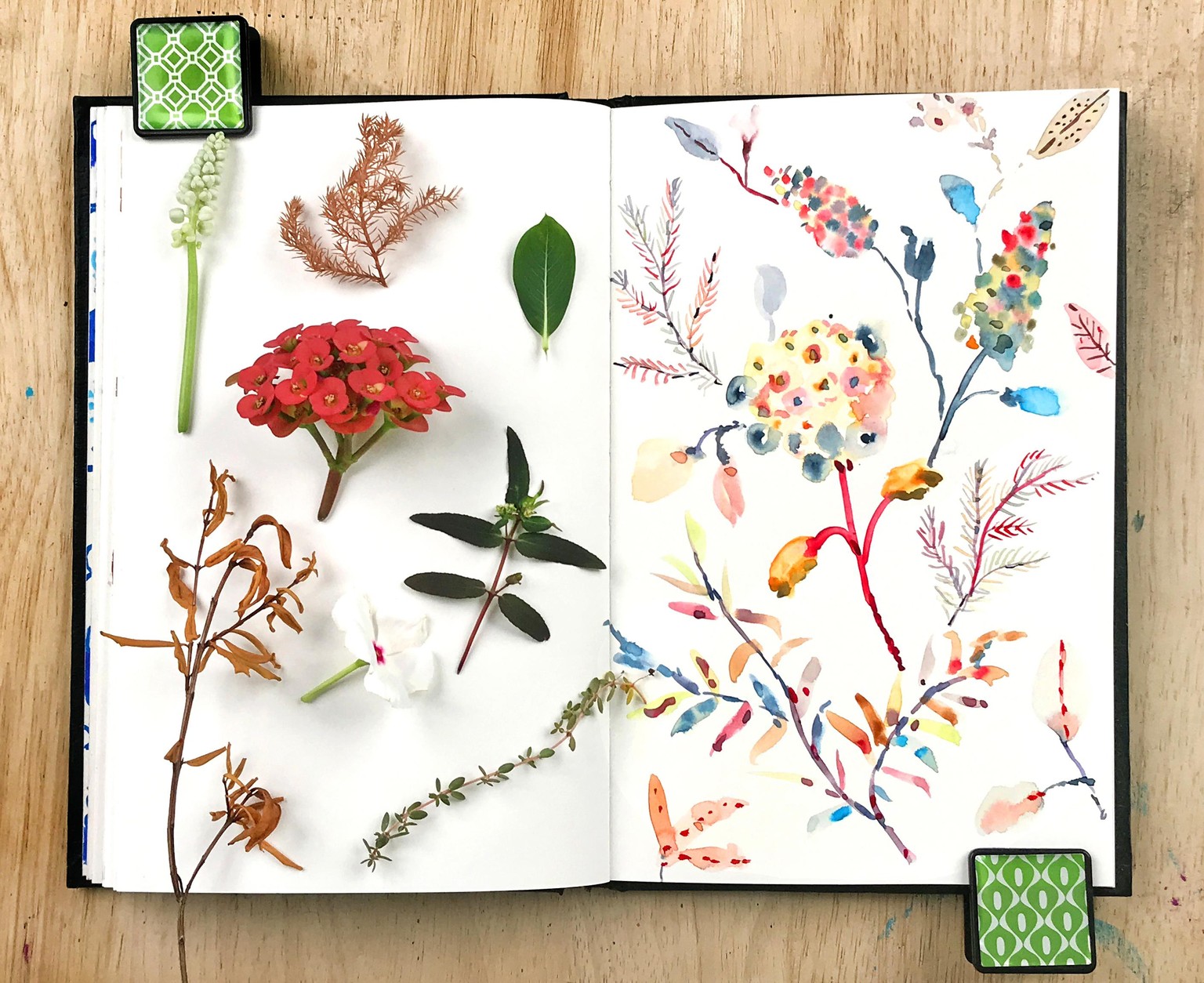 New Class - Stylizing your Watercolors: Fun with Foraged Botanicals - image 2 - student project