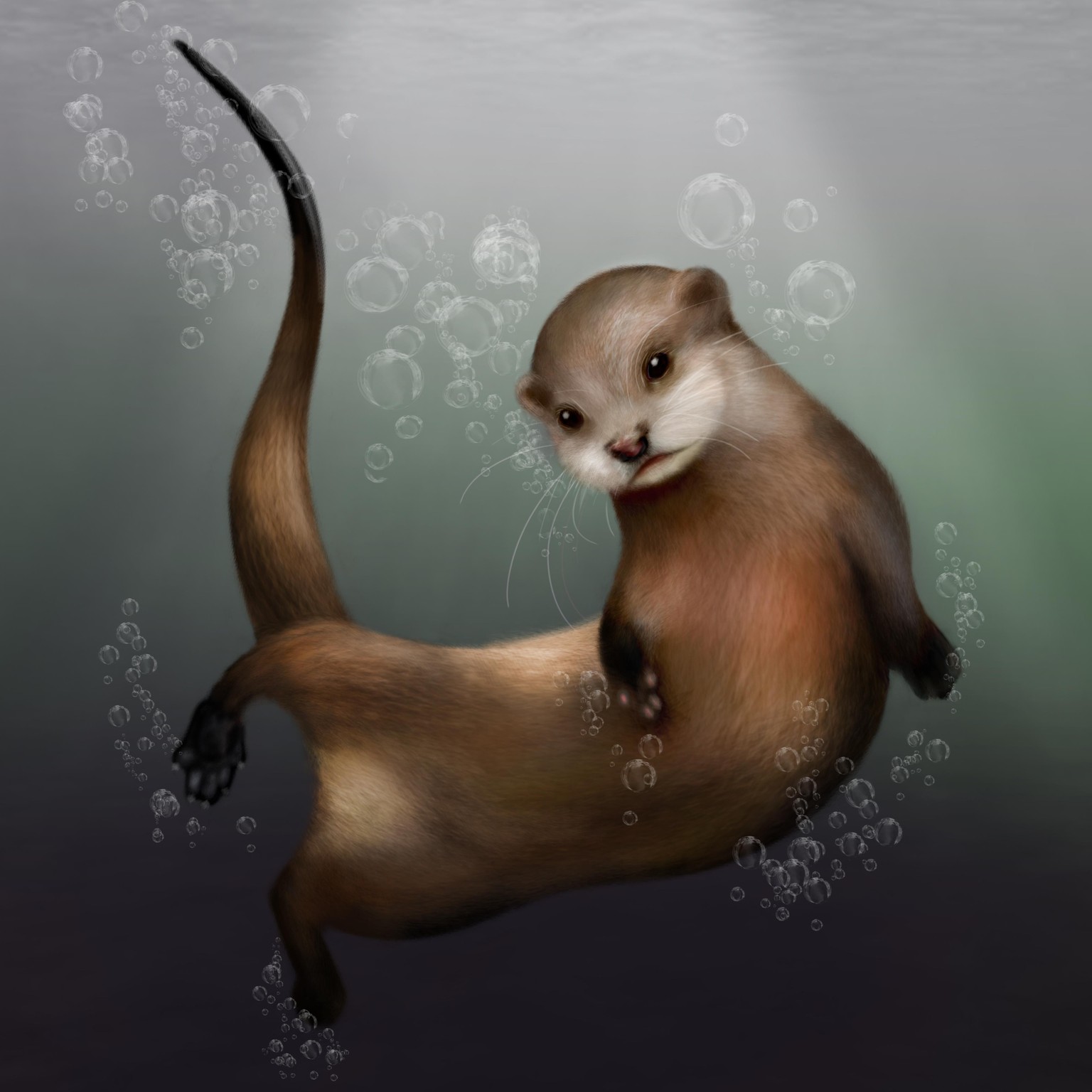 Otter - image 1 - student project