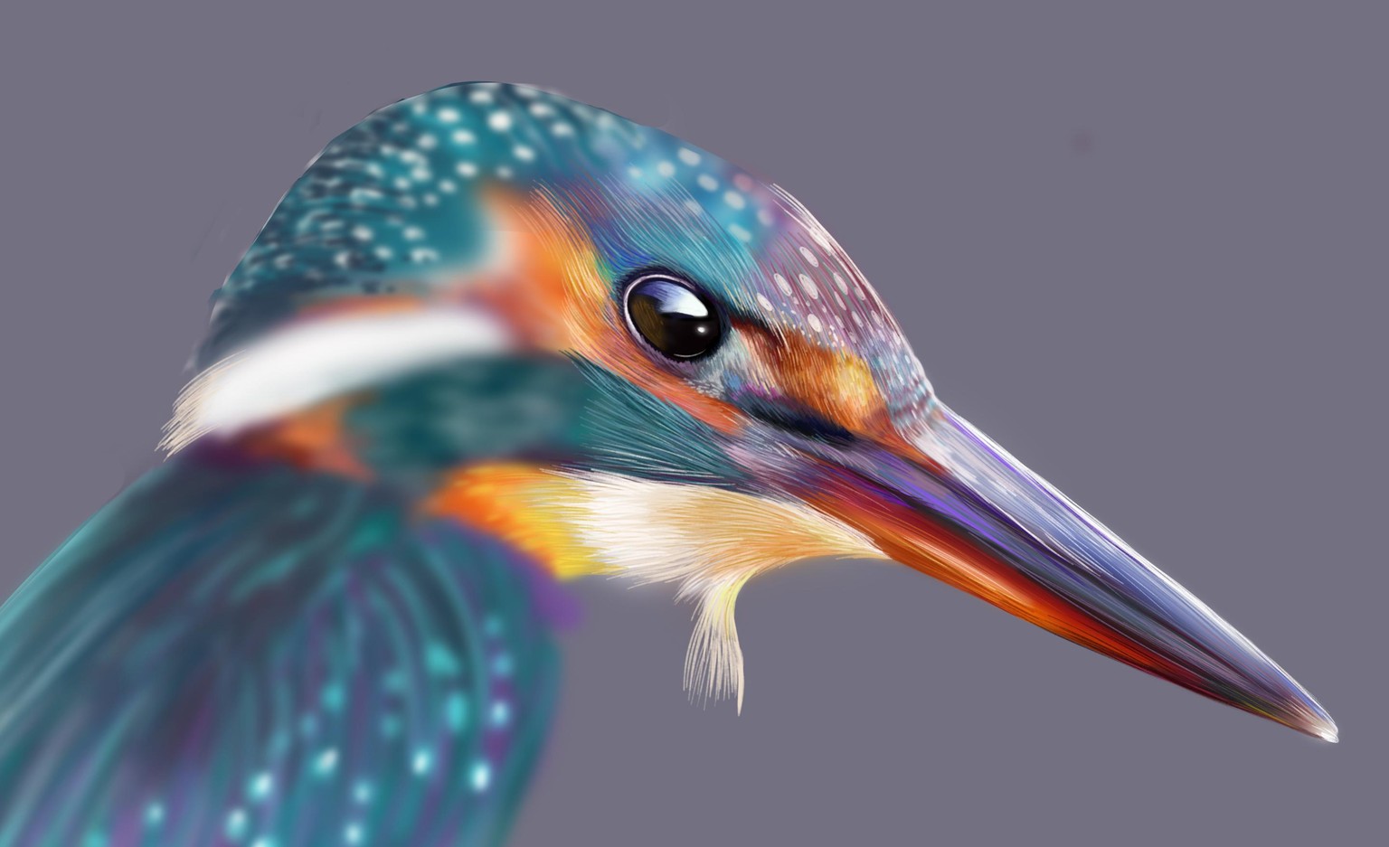 Kingfisher W.I.P - image 2 - student project