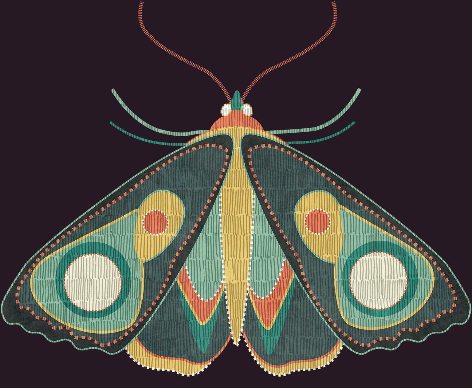 Pattern W.I.P + Moths - image 1 - student project