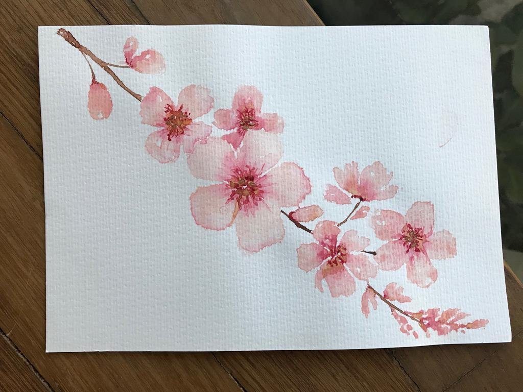 Cherry Blossoms - image 4 - student project