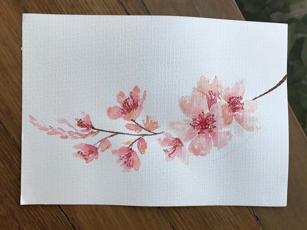 Cherry Blossoms - image 5 - student project
