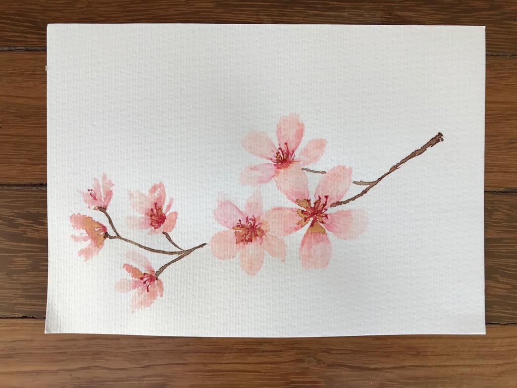 Cherry Blossoms - image 3 - student project