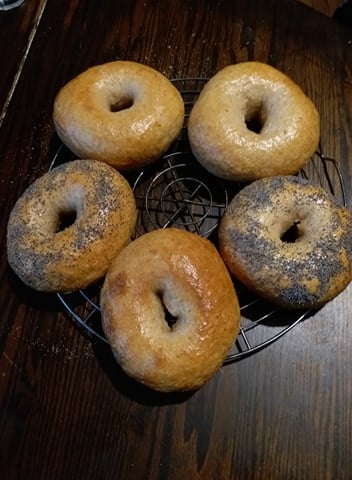 Sourdough bagels - image 3 - student project