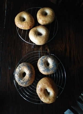 Sourdough bagels - image 4 - student project