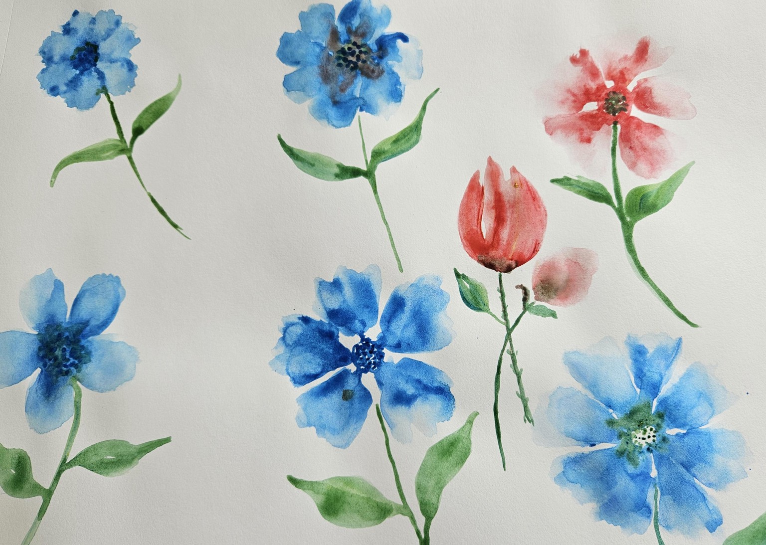 Flowers beauty - image 2 - student project